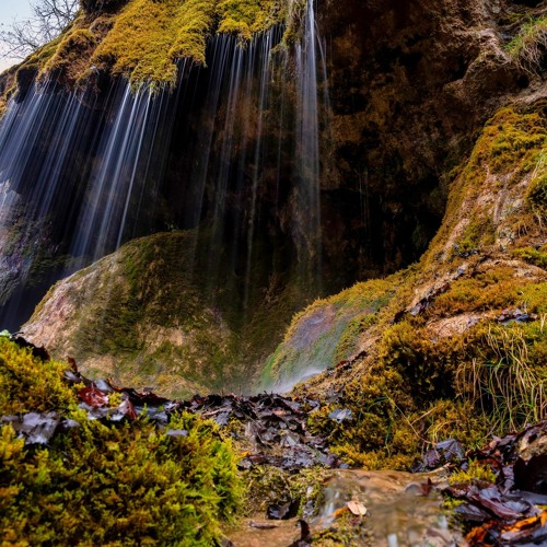 Best Set`s November 2022