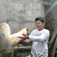 SPECIAL ESBEDUA FARM  #B I G B O S S