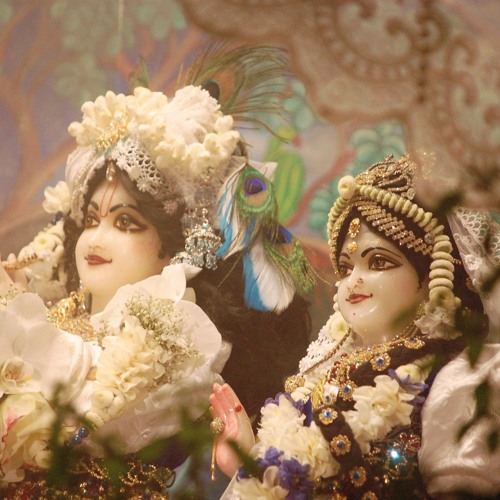 Radhadesh Mellows 2019 - Nimai Gadhvi