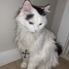 Badz Duzy (hardtekk)