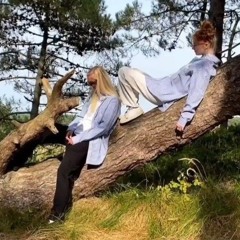 ik haat hem voor jou live op lowlands!