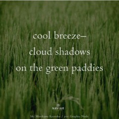 Clouds and paddies