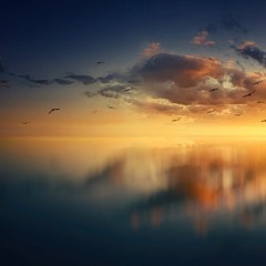 A Mouse Too Smart To Get In Trap