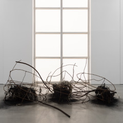 (AD) Dominique White 'The domination of Nothing' 2023