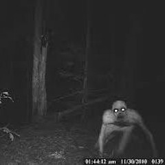 The Great Spookening