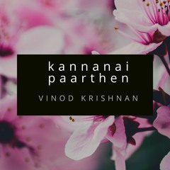 Kannanai Paarthen (Original)