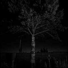 Raven Cure - Suspended Time