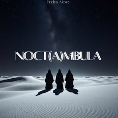 Noct(a)mbula