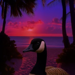 GOOSE x Alta Vita Open Air August 2025