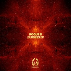 Rogue D - Nights