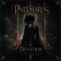 Devotion in the Low Light artwork