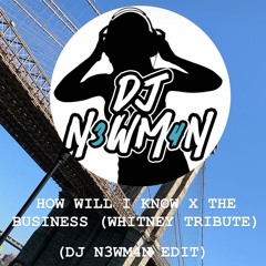 HOW WILL I KNOW X THE BUSINESS WHITNEY TRIBUTE(DJ N3WM4N EDIT)