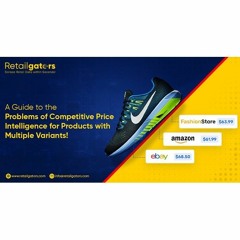 A Guide To The Problems Of Competitive Price Intelligence For Products With Multiple Variants