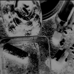 w⁰rthl³sS•w⁰rm$