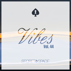 Vibes Vol.44
