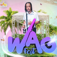 LIVE AT WAG FEST 2025