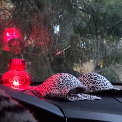 krav leo eller va säger man