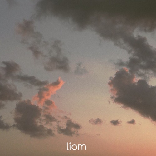 Stream Passing Of The Seasons by Líom | Listen online for free on ...