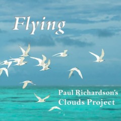 Flying