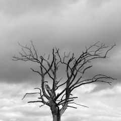 Scenic Routes #6 Spooky Special - Katy Bentham (Slack's 30/10/21)