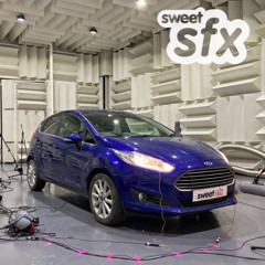 Ford Fiesta Foley - Library Demo