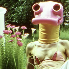 Untitled Playlist tk online