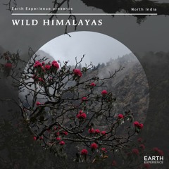 Spring In Himalayas (earth-experience.com)