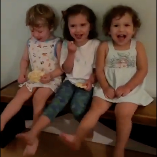 Live at Pynk in Vermont [August 2025]