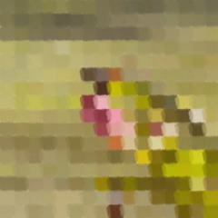 dragonfly's prairie