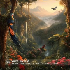 Radio Town Music & DJ Jartza - What Is Love