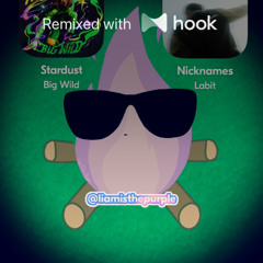 Big Wild x Labit - Stardust x Nicknames (@liamisthepurple Hook Mashup)