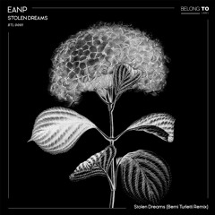 EANP - Stolen Dreams (Berni Turletti Remix) [Belong To Label]