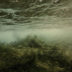 𝙇𝙪𝙢𝙥 𝙎𝙪𝙢 ( 𝘽𝙤𝙣 𝙄𝙫𝙚𝙧 )