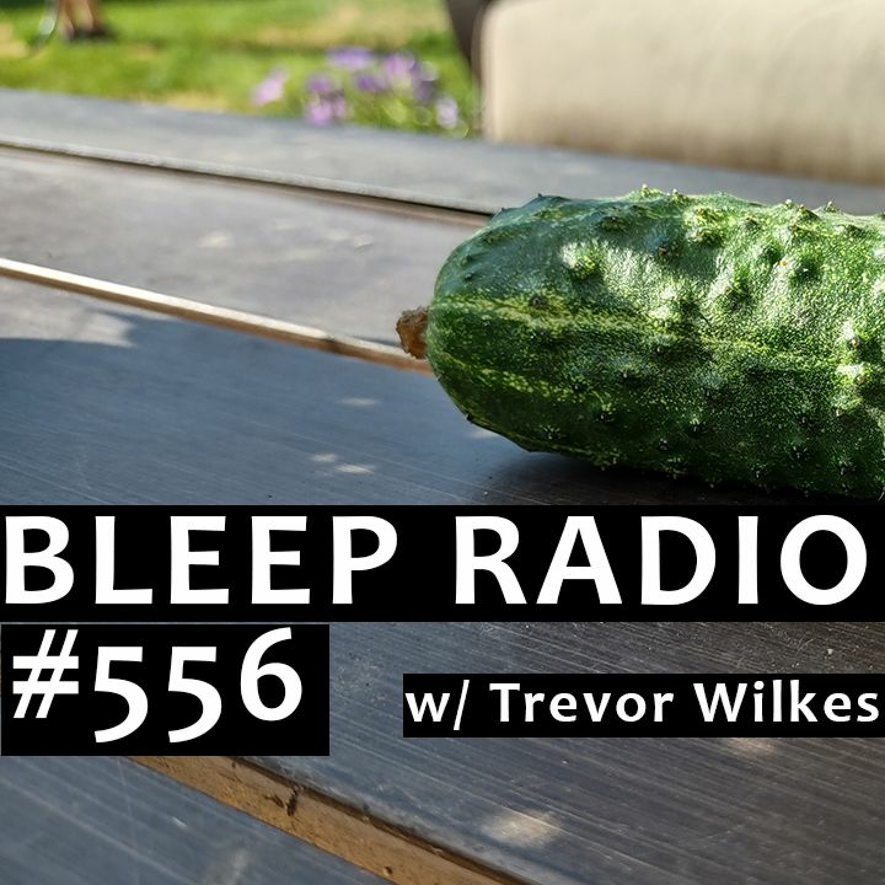 Bleep Radio w/ Trevor Wilkes