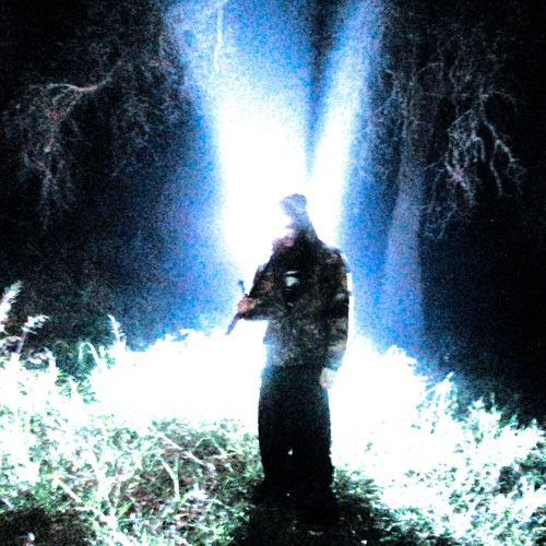 glass shards from a gilded mirror