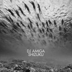 Dj Amiga - Shizuku featuring KlangDruide & Caldrew