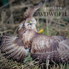 WDWGFH (phone recording)