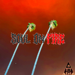 Soul on Fire