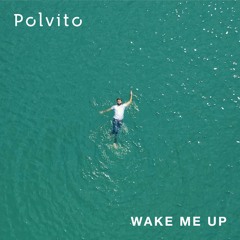 Wake Me Up