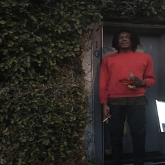 lucki - rip x promiscuous