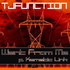 Want from Me (feat. Kemetic Link)