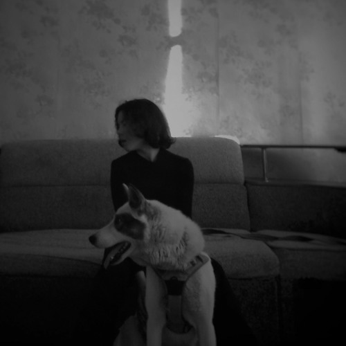 Stream Djashin | Listen to особов/рыночныеотношения/полумягкие ...