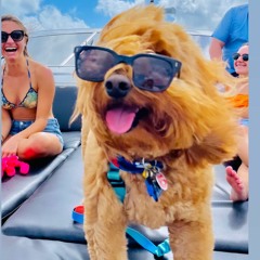 The Runner - Rüfüs Du Sol (Lukau5 Remix)