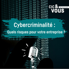 Episode 1 : Quels sont les acteurs de la cybercriminalité ?