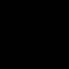 SEEING BLACK