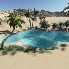 Oasis
