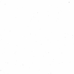 Una Vaca Comiendo Pasto