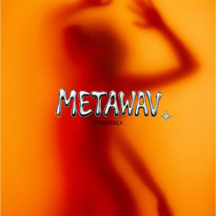 Metawav. - Cybersex
