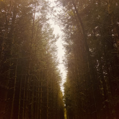 alive, a dream