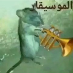معزوفة حزينة الفار الموسيقار💔🥀🪫⛓️